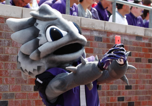 Hornyjpg — NCAA MASCOTS option 15