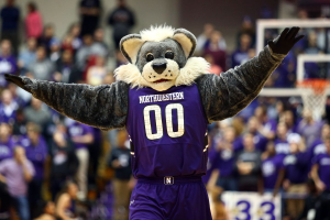 Husky 2jpg — NCAA MASCOTS option 17
