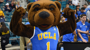 Libby The Tardjpg — NCAA MASCOTS option 19