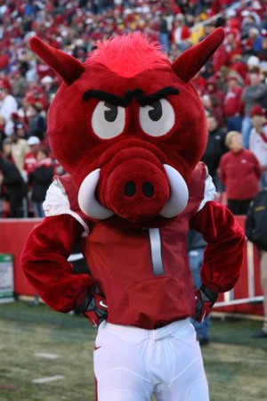 Sucksjpg — NCAA MASCOTS option 24