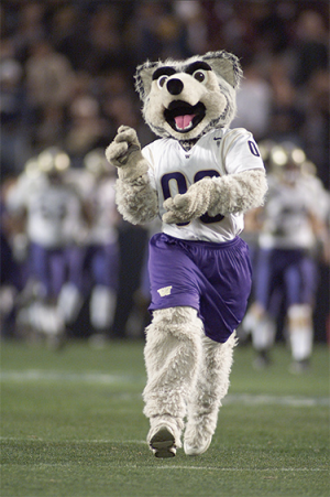 Wishy Washyjpg — NCAA MASCOTS option 31
