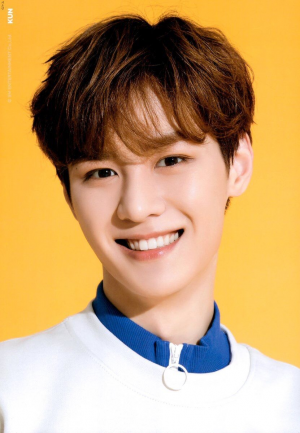 Kunjpg — NCT OT21 Bias Tier List option 11