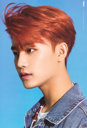 Taeiljpg — NCT OT21 Bias Tier List option 15