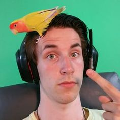 Linktijgerjpg — Nederlandse Twitch Streamers 2020 option 70