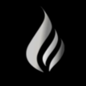 Zz1595120976daysilverpng — Nederlandse Twitch Streamers 2020 option 218