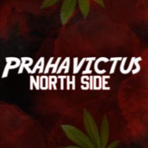 Zz1595120979praha Victuspng — Nederlandse Twitch Streamers 2020 option 303