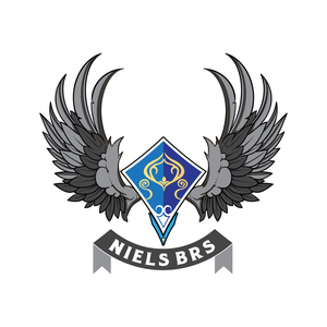 Zz1595120981nielsbrspng — Nederlandse Twitch Streamers 2020 option 345