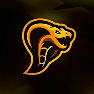 Zz1636312008cobraytnlpng — Nederlandse Twitch Streamers 2020 option 387