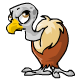 14080gif — Neopets Unique Petpets option 68