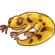 20605gif — Neopets Unique Petpets option 223