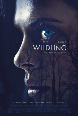 Mv5byjm2mgvmn2mtmdc3ny00nzk0lwfhmgutngq0mdm5otc5ndzlxkeyxkfqcgdeqxvymtqxnzmzndiav1jpg — Netflix Movies option 14