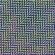 220px Animalcollectivemerriweather 1jpg — New mucore tier option 5