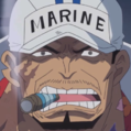Sakazukiportraitpng — New One Piece Tier List option 66