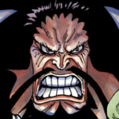 Zz1560509750kaidoportraitpng — New One Piece Tier List option 86