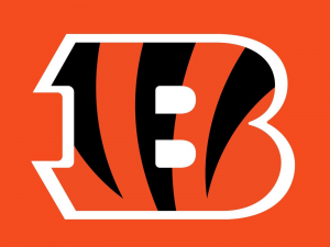 3edc5ab9e8876b458fc6f89e1169f019jpg — NFL Teams (Week 7) option 6