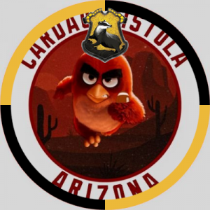 Zz1630017604cardao Pistolaapng — NFLTT 2021 tier list option 8