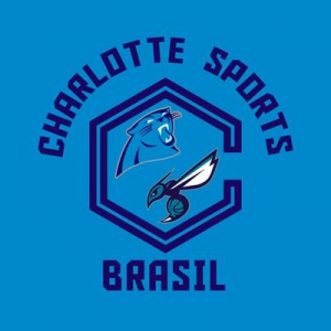 Zz1630020134panthers Milgrauuujpg — NFLTT 2021 tier list option 57