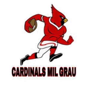 Zz1630027442cardsjpg — NFLTT 2021 tier list option 95