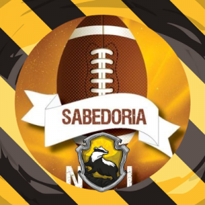 Zz1630091005sabedoriaaaapng — NFLTT 2021 tier list option 100