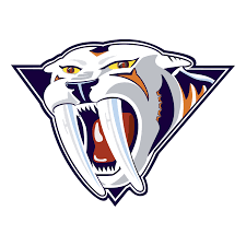 Mustard Catpng — NHL Logos option 35