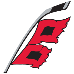 Storm Flagpng — NHL Logos option 54