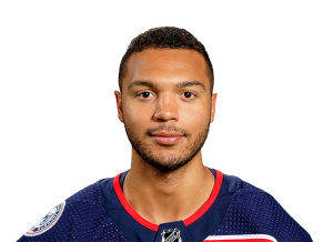 I 34png — NHL players option 29