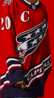 Screen Shot 2020 11 16 At 111834 Ampng — NHL Reverse Retro Jersey option 6