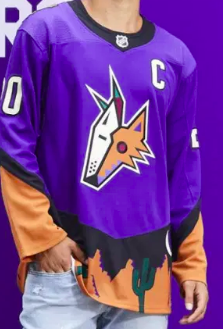 Screen Shot 2020 11 16 At 111925 Ampng — NHL Reverse Retro Jersey option 12