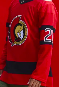 Screen Shot 2020 11 16 At 112036 Ampng — NHL Reverse Retro Jersey option 21