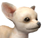 Chipng — Nintendogs playable races option 4