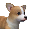 Corgpng — Nintendogs playable races option 5