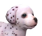 Dalpng — Nintendogs playable races option 7