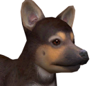 Germpng — Nintendogs playable races option 8