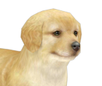 Godlypng — Nintendogs playable races option 9