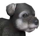 Min 0png — Nintendogs playable races option 11