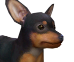 Minpng — Nintendogs playable races option 12