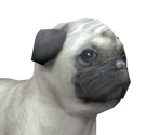 Pugpng — Nintendogs playable races option 13