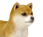 Shebpng — Nintendogs playable races option 14