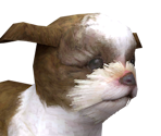 Shihpng — Nintendogs playable races option 16