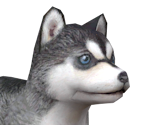 Sibpng — Nintendogs playable races option 17