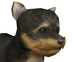 Yorkiepng — Nintendogs playable races option 19