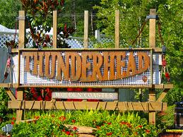 Thjpg — North American Wooden Roller Coasters option 24