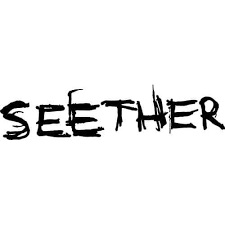 Seetherjpg — Nu-Metal bands tier list option 39