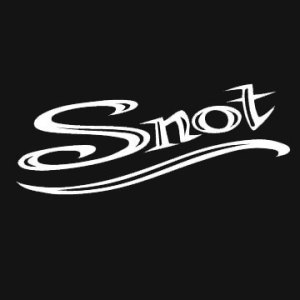 Snotjpg — Nu-Metal bands tier list option 46
