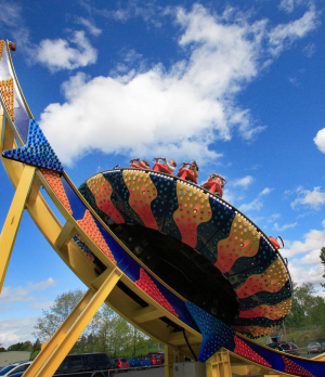 Discojpg — Oaks Park Ride Operation option 7