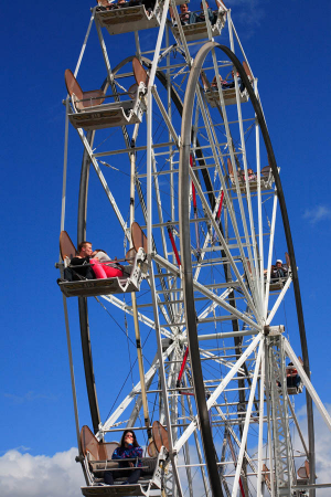 Ferris Wheeljpg — Oaks Park Ride Operation option 8