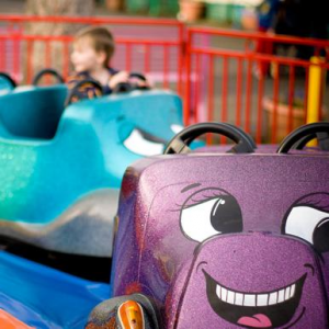Toon Carsjpg — Oaks Park Ride Operation option 19