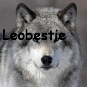 Leobestiejpg — OCE Fortnite Tier List (with names) option 53