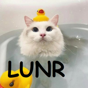 Lunrjpg — OCE Fortnite Tier List (with names) option 56