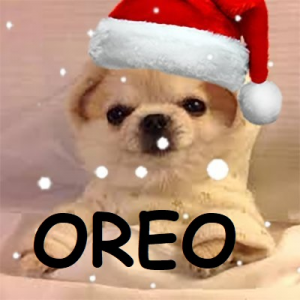 Oreojpg — OCE Fortnite Tier List (with names) option 71